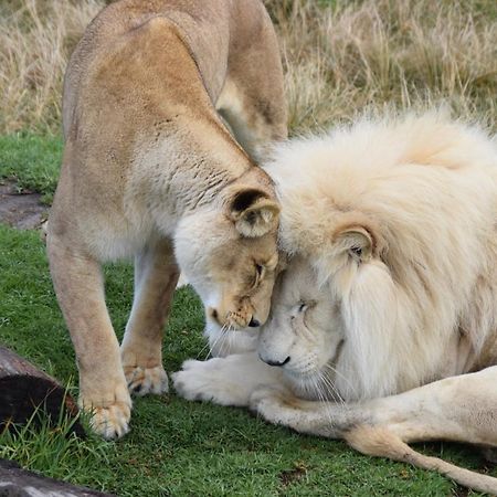 Tenikwa Plettenberg Bay Zewnętrze zdjęcie