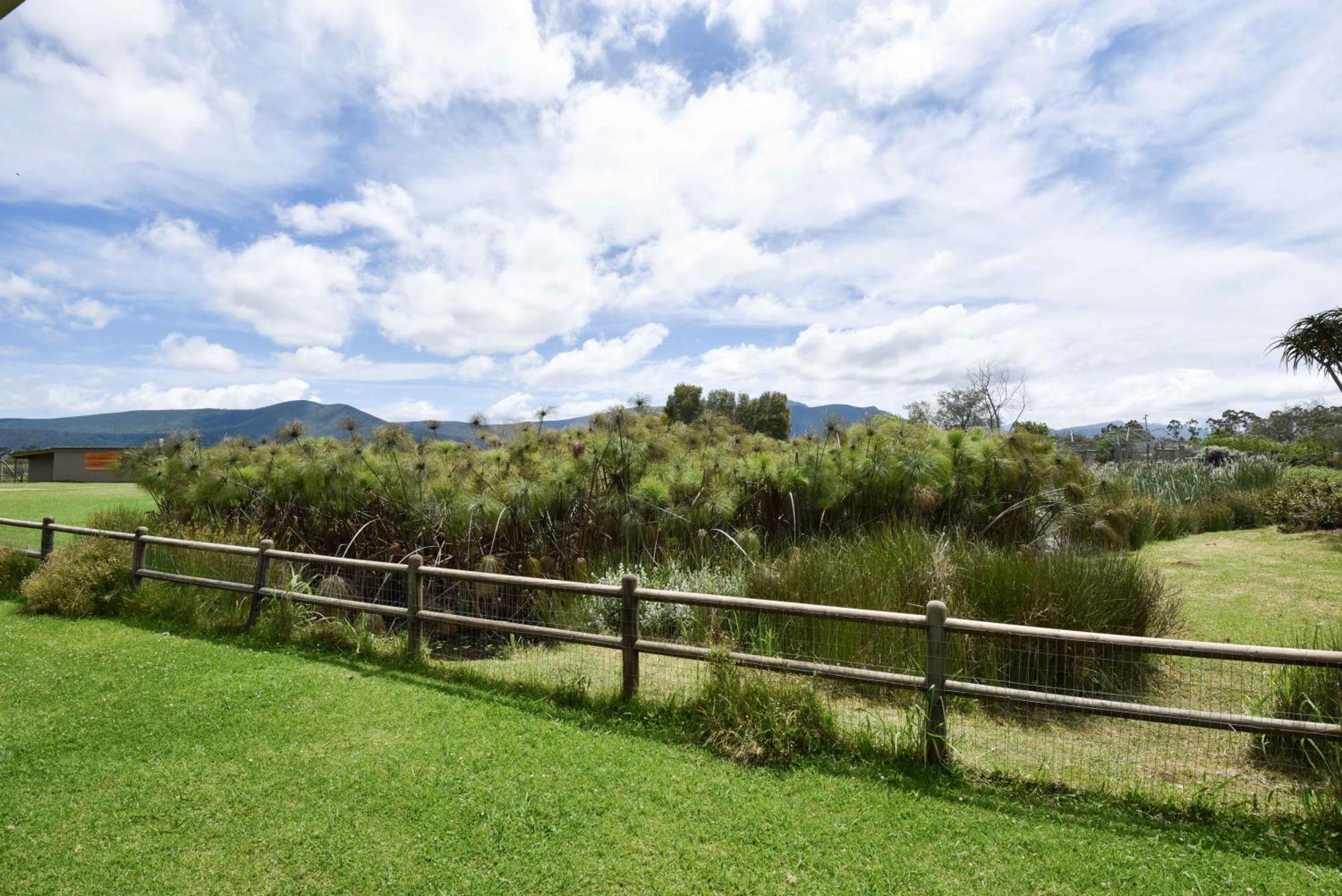 Tenikwa Plettenberg Bay Zewnętrze zdjęcie
